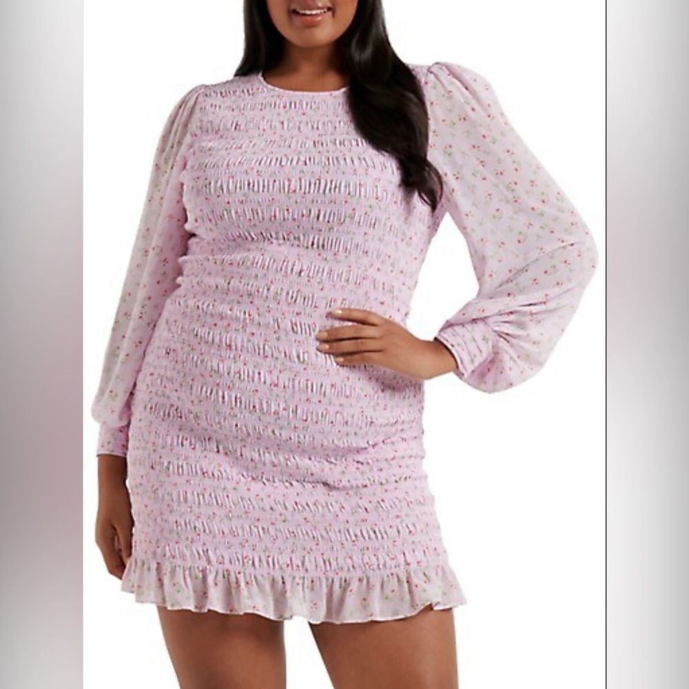 NWT Ever New Meagan Curve Shirred Floral Mini Dress